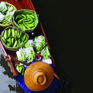 Tranh Dán Tường Việt Nam MS: 62VN001
